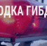 Сводка за неделю с 07 по 13 июня 2021 г. - Кушвинский городской округ