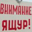 Ящур - болезнь домашних и диких парнокопытных животных - Кушвинский городской округ