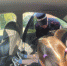 Итоги рейдовых мероприятий "Автокресло-детям"! - Кушвинский городской округ