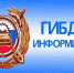 ГИБДД. Внимание, дикие животные на трассе! - Кушвинский городской округ
