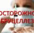 Памятка для населения по профилактике заболевания бруцеллёзом животных! - Кушвинский городской округ