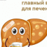 Неделя профилактики заболеваний печени (в честь Международного дня борьбы с гепатитом 28 июля) - Кушвинский городской округ