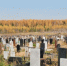 Уважаемые жители Кушвинского муниципального округа! - Кушвинский городской округ
