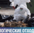 ⚠Биологические отходы — серьёзная угроза - Кушвинский городской округ
