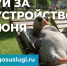 Уважаемые жители Кушвинского муниципального округа! - Кушвинский городской округ